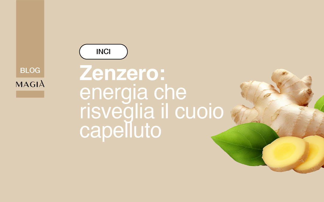 ZENZERO